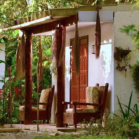 Casa A Beira Do Rio Jaguareguava Na Mata Atlantica Em Bertioga Sp别墅 外观 照片