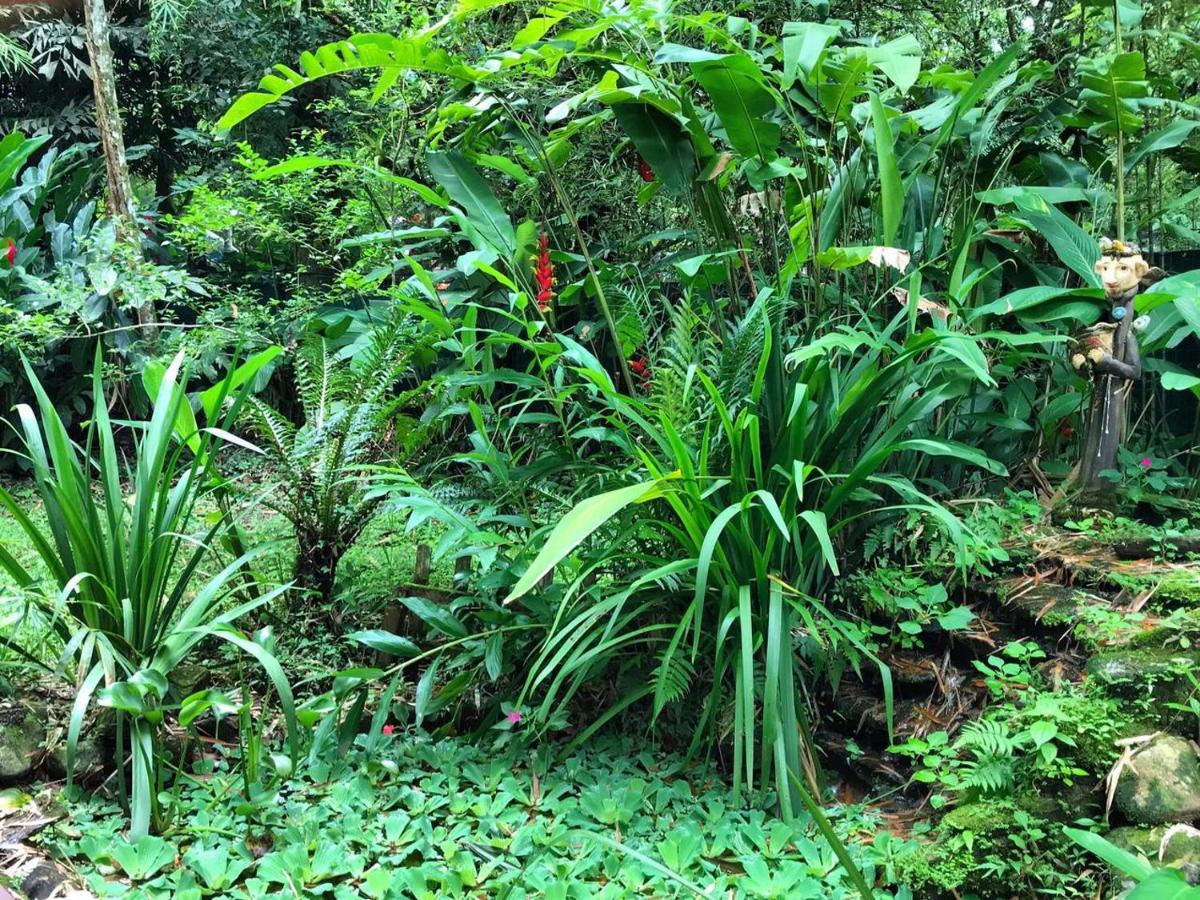 Casa A Beira Do Rio Jaguareguava Na Mata Atlantica Em Bertioga Sp别墅 外观 照片