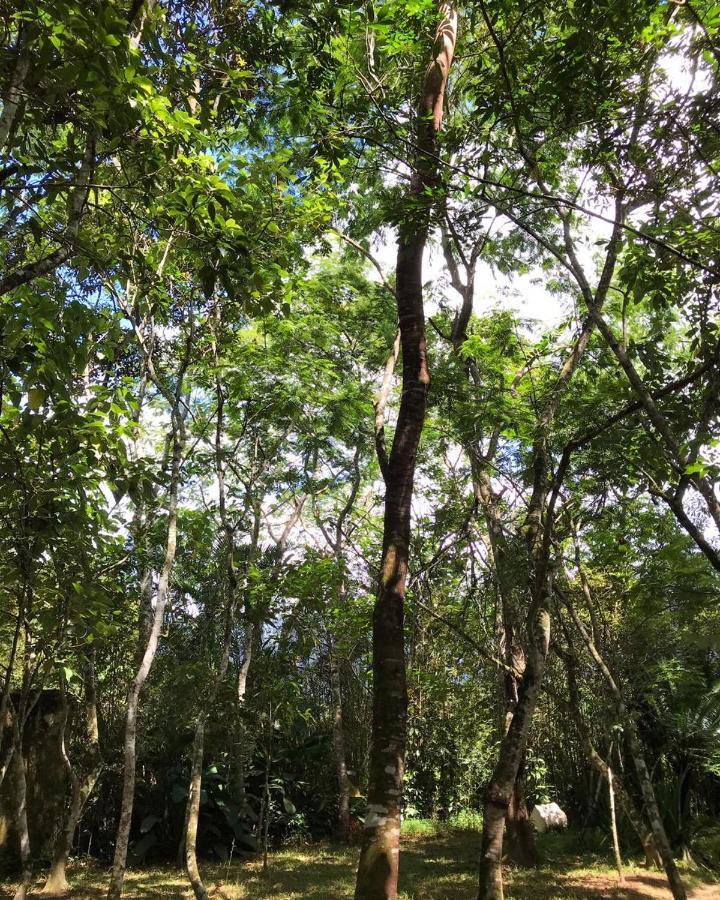 Casa A Beira Do Rio Jaguareguava Na Mata Atlantica Em Bertioga Sp别墅 外观 照片