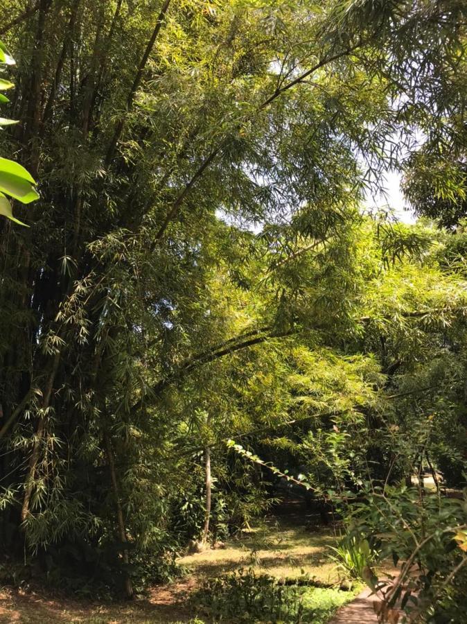 Casa A Beira Do Rio Jaguareguava Na Mata Atlantica Em Bertioga Sp别墅 外观 照片