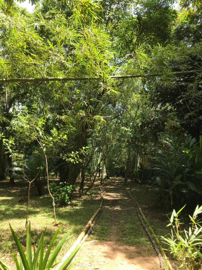 Casa A Beira Do Rio Jaguareguava Na Mata Atlantica Em Bertioga Sp别墅 外观 照片