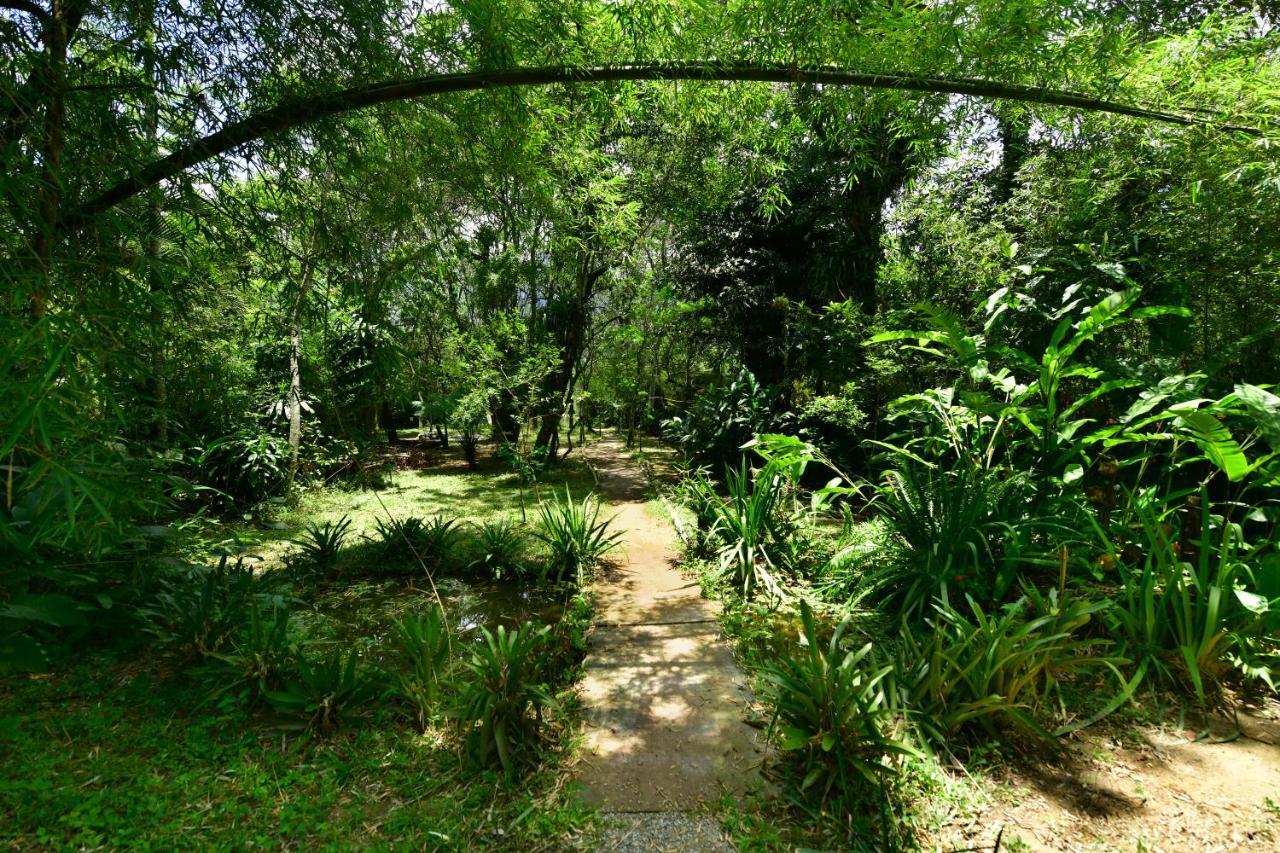 Casa A Beira Do Rio Jaguareguava Na Mata Atlantica Em Bertioga Sp别墅 外观 照片
